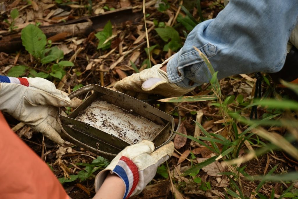 ジビエ猟で使っている実際の罠