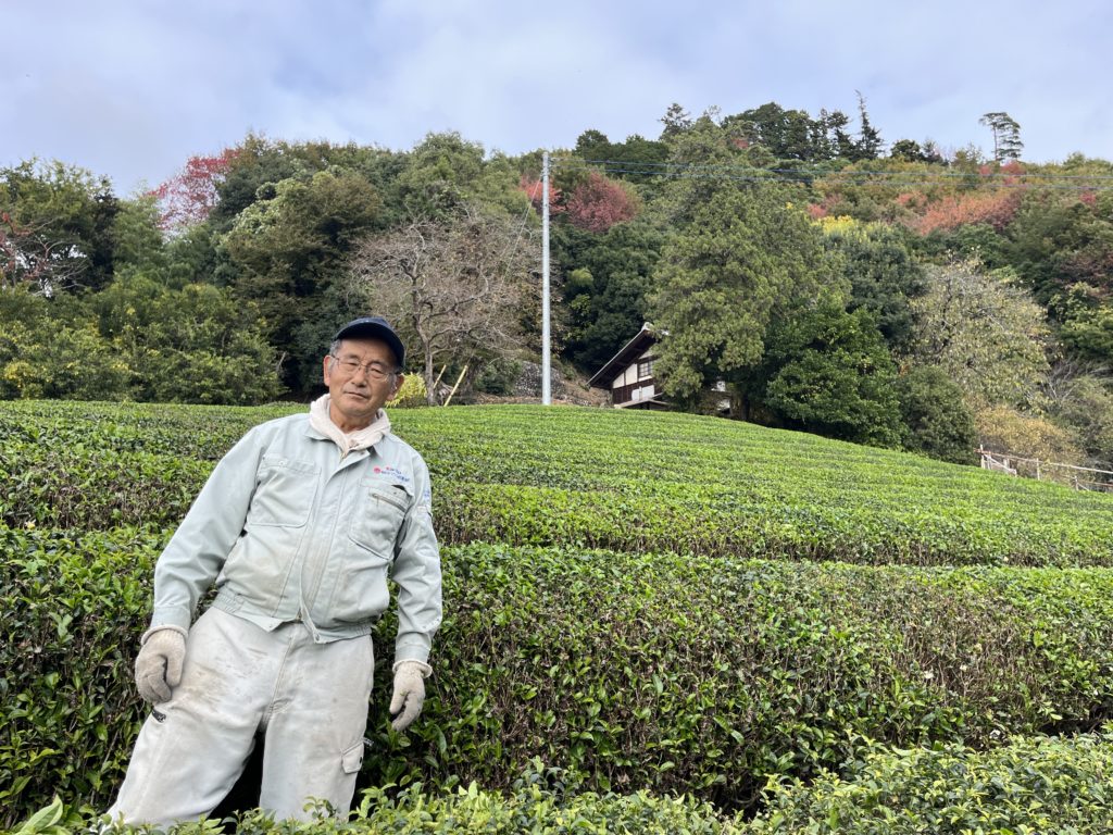 お茶農家